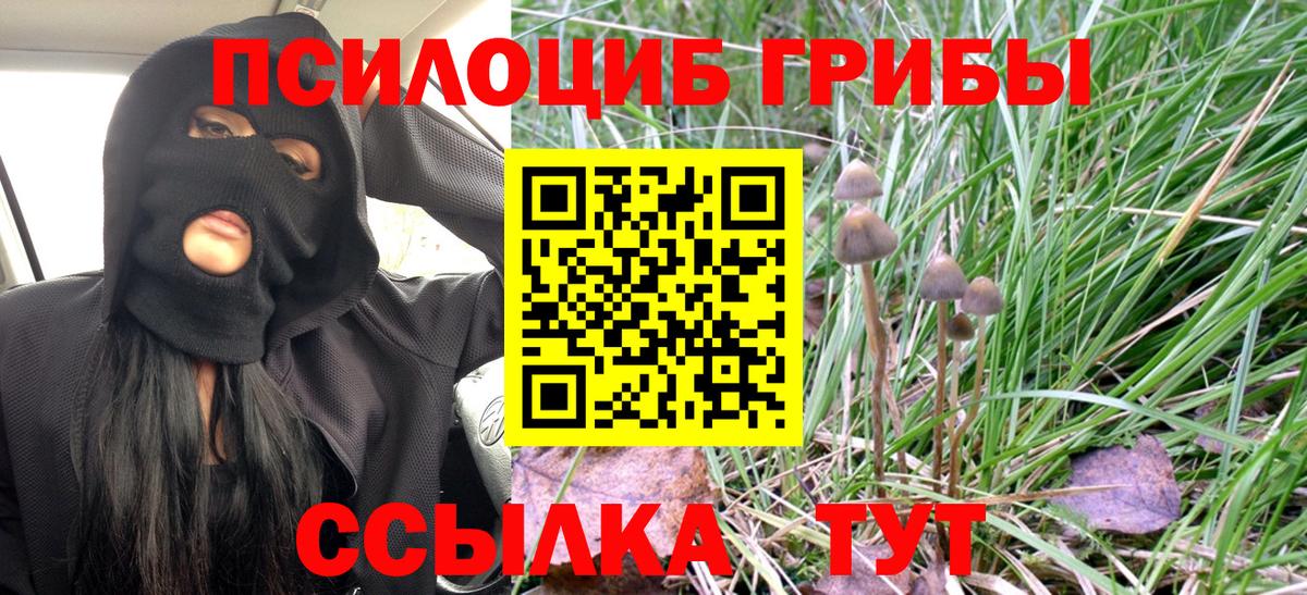 Псилоцибиновые грибы GOLDEN TEACHER Гусь-Хрустальный