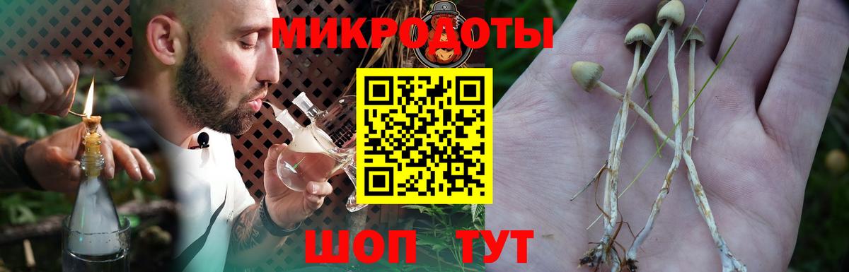 купить наркотики сайты  Галлюциногенные грибы ЛСД  Вход с VPN  Гусь-Хрустальный  Галлюциногенные грибы Psilocybine cubensis 
